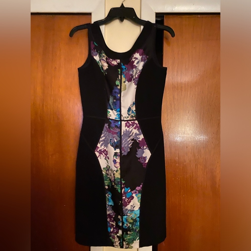 Ellen Tracy dress , size 2, very cute